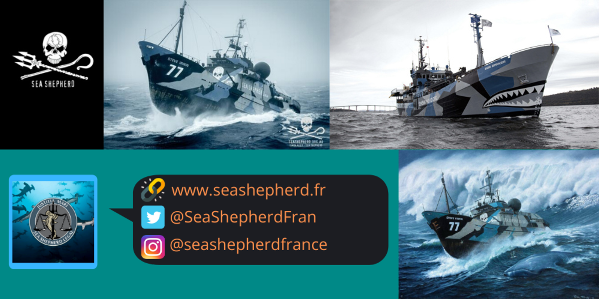  Sea Shepherd